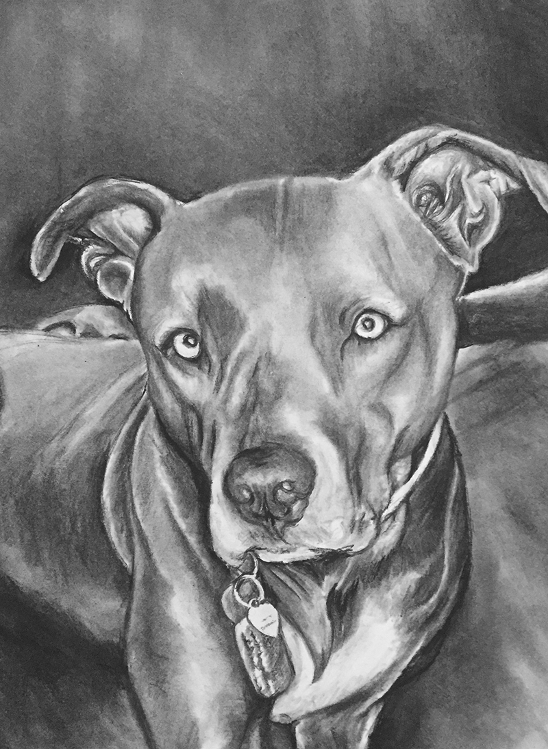 Roxie-Portrait.jpg
