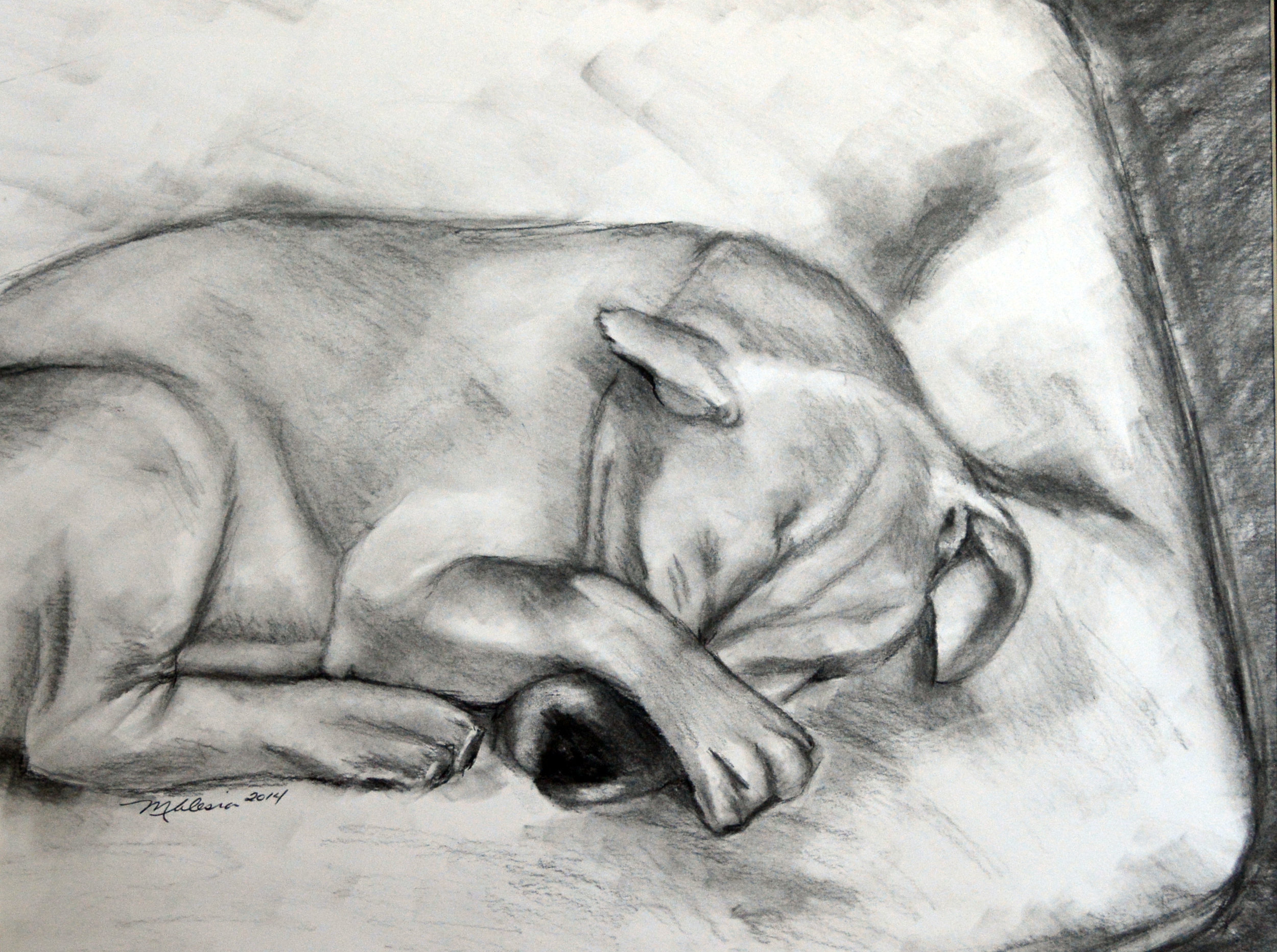 NemoSleeping02.jpg