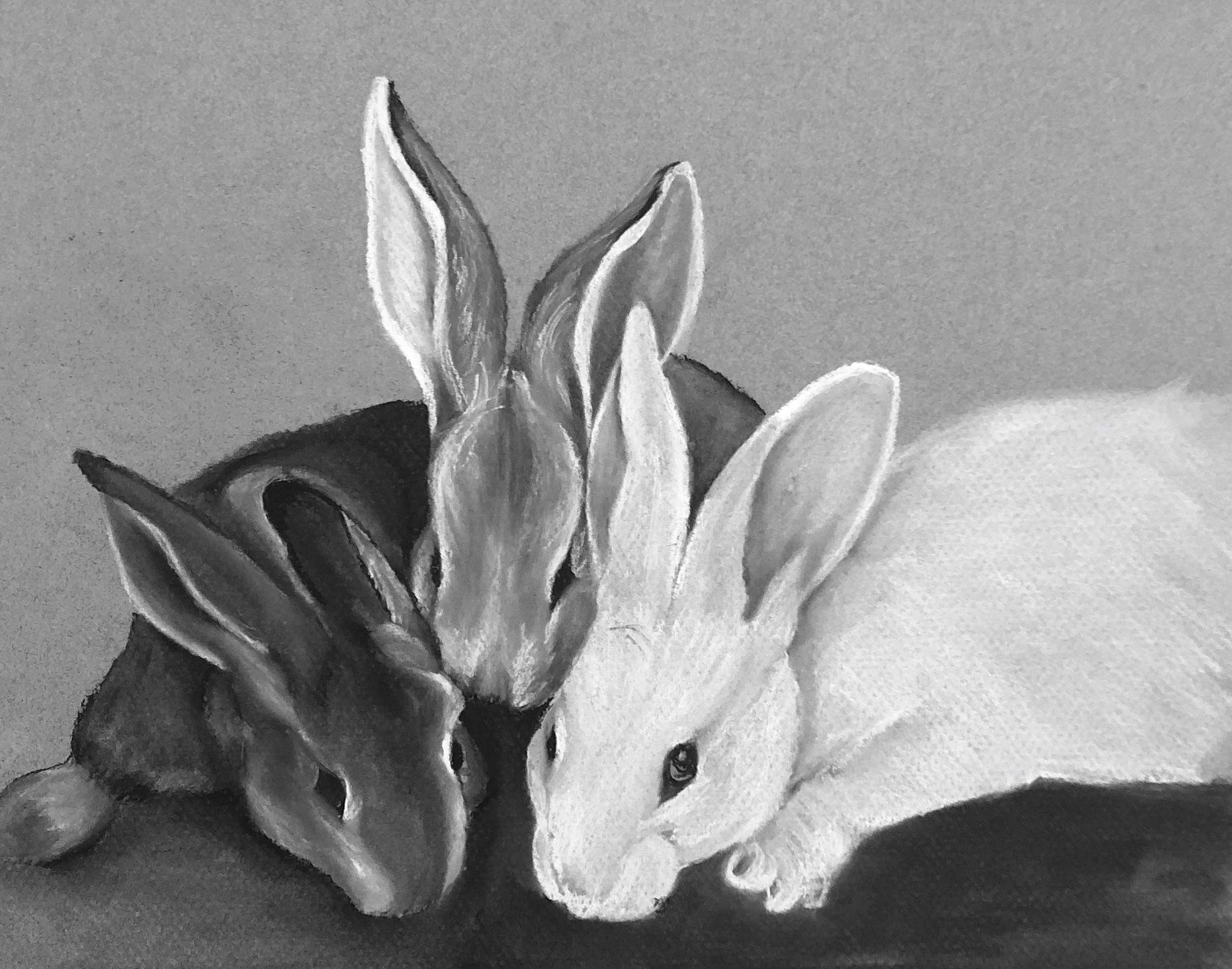 Rabbit, Rabbit, Rabbit
