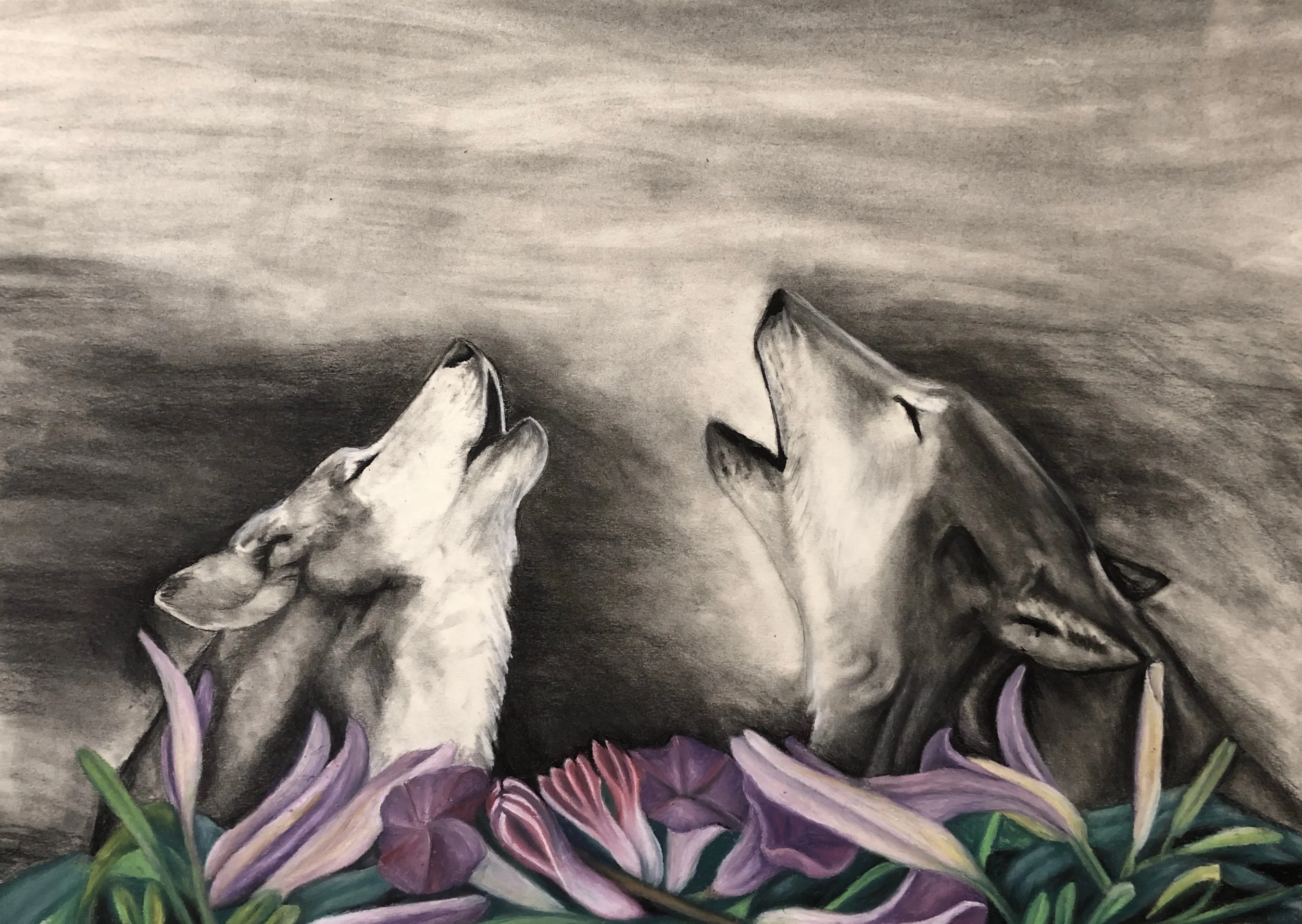 Enjoying the Lupine Serenade