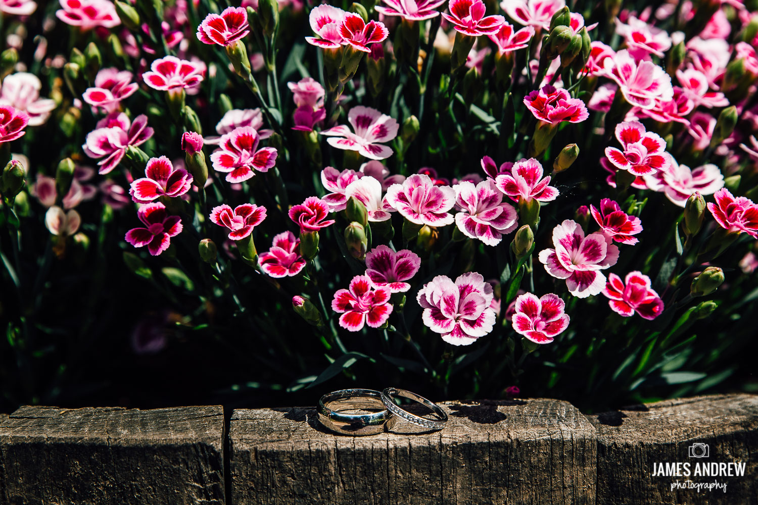 Macdonald Portal Hotel Wedding Photographer