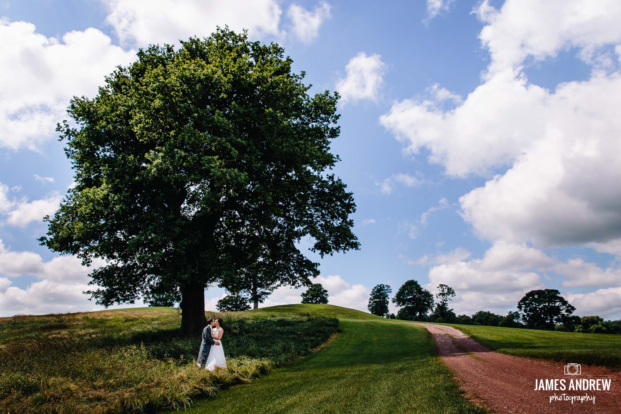 Wedding Couple Under Oak Tree Macdonald Portal Hotel cheshire north west