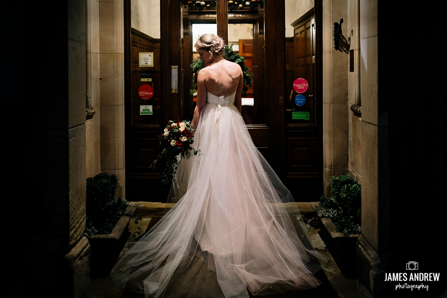 Bride portrait back of dress