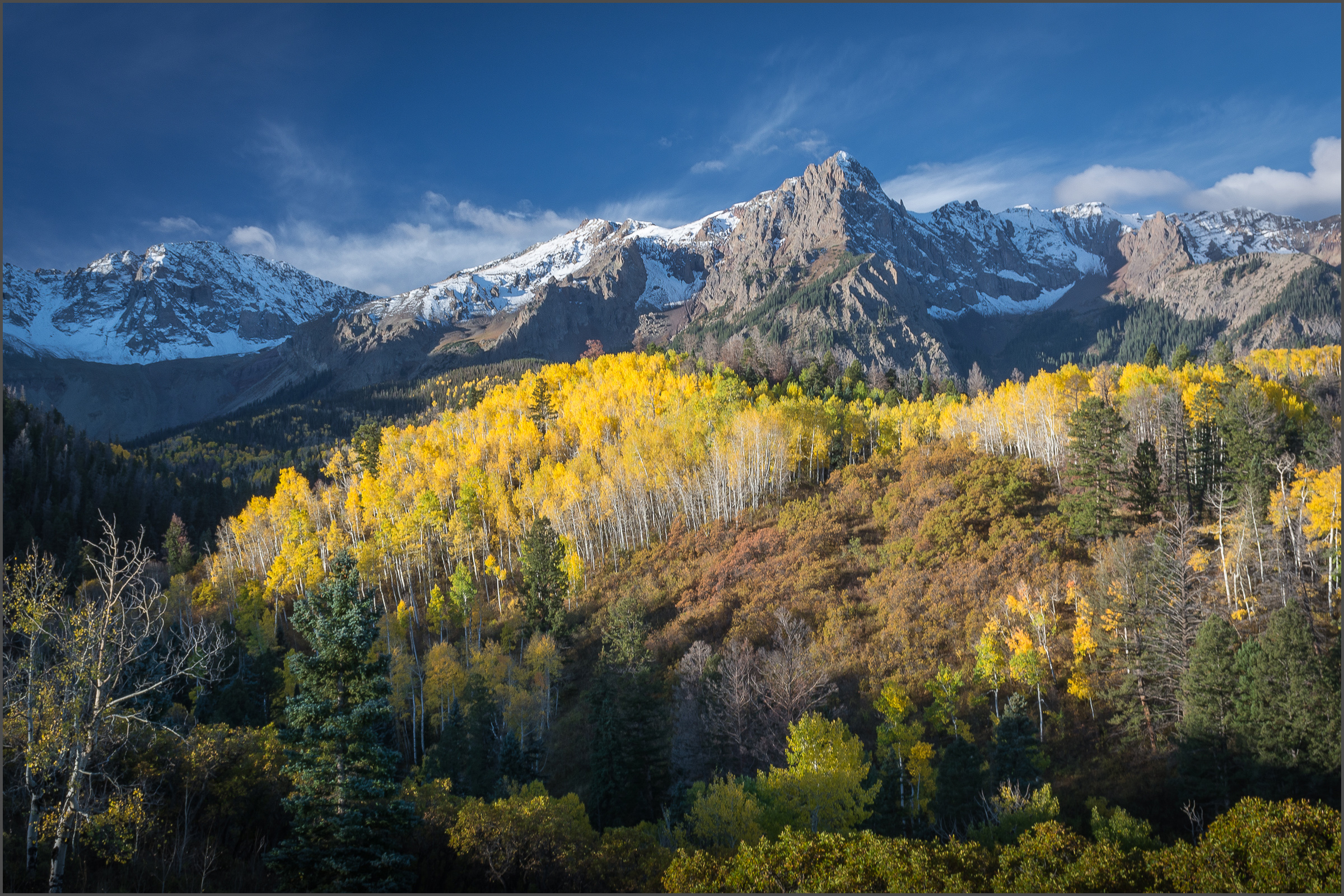 And 'Oberg's Aspen' received an Honorable Mention.