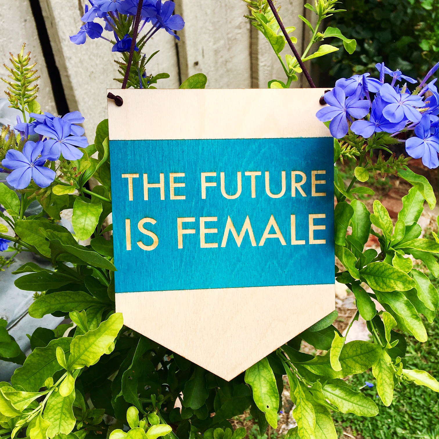 $23.99 THE FUTURE IS FEMALE WALL HANGING