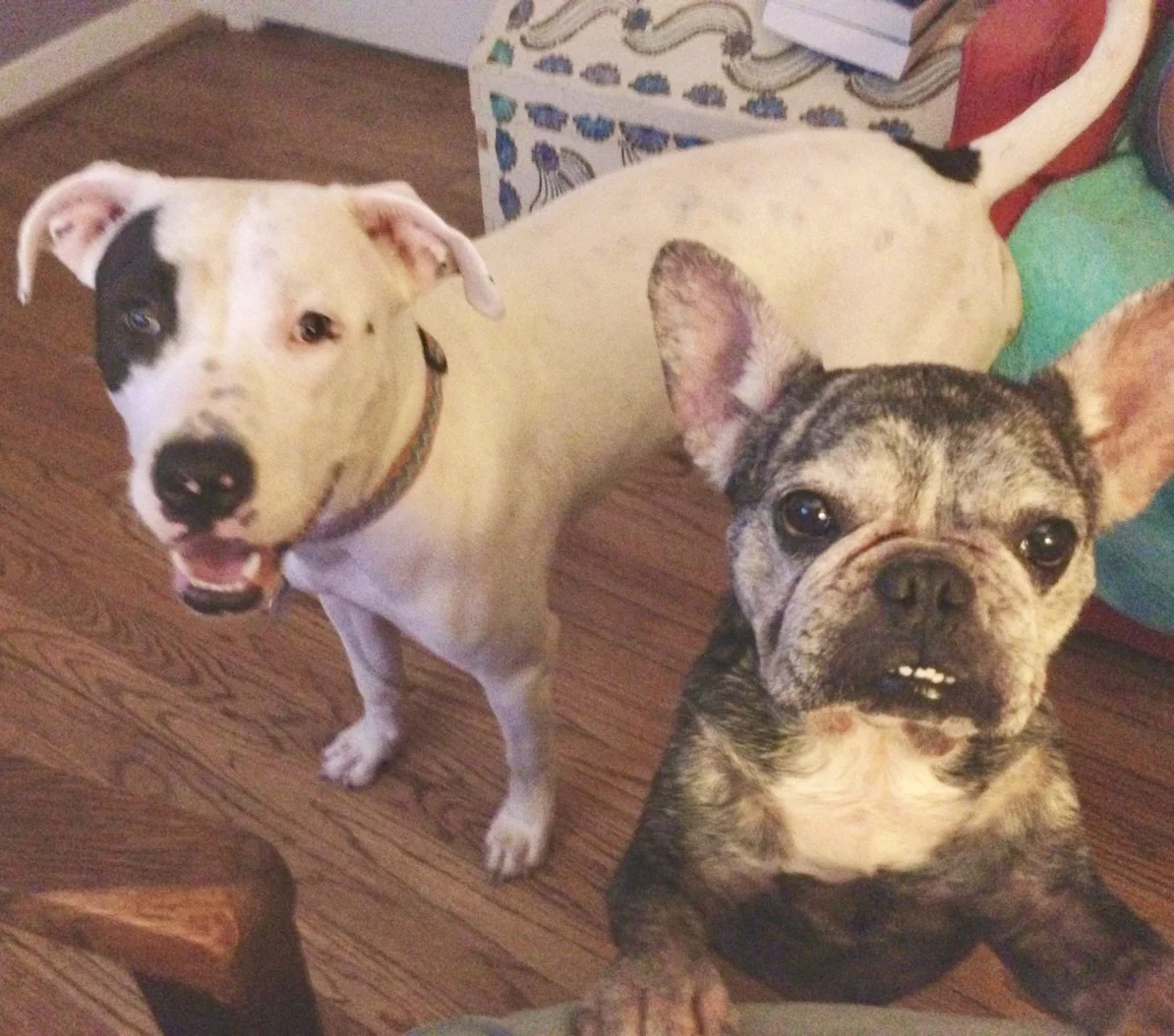 B7B76349-37F7-41F0-BD12-1FCB2DD96227