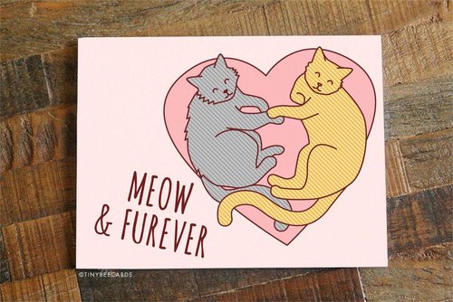 $5.99 MEOW AND FUREVER LOVE CARD