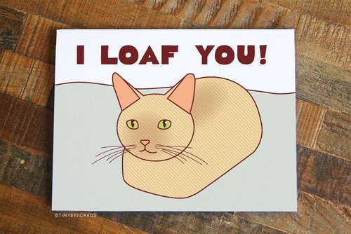 $5.99 I LOAF YOU CAT CARD