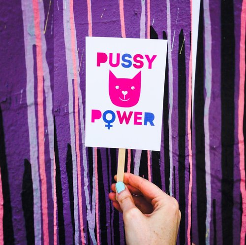 $11.99 PUSSY POWER MINI PROTEST SIGN