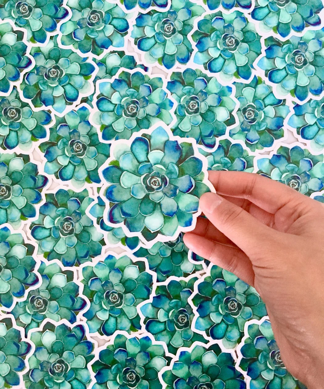 TEAL SUCCULENT STICKER 2.jpg