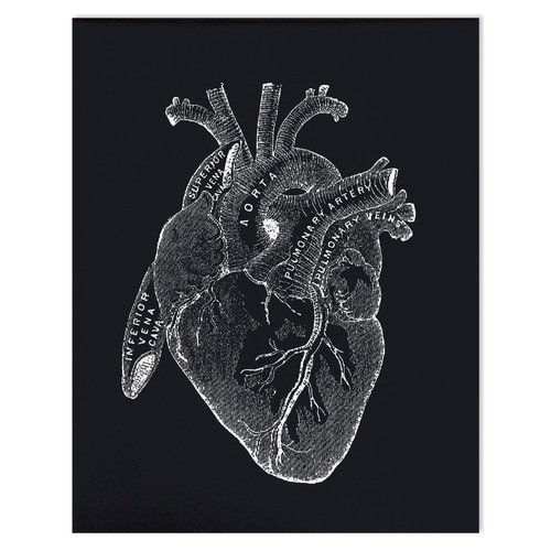 $19.99 VINTAGE ANATOMY BLACK HEART PRINT