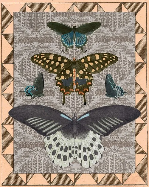 $17.99 LE PAPILLON BUTTERFLY COLLAGE ART PRINT