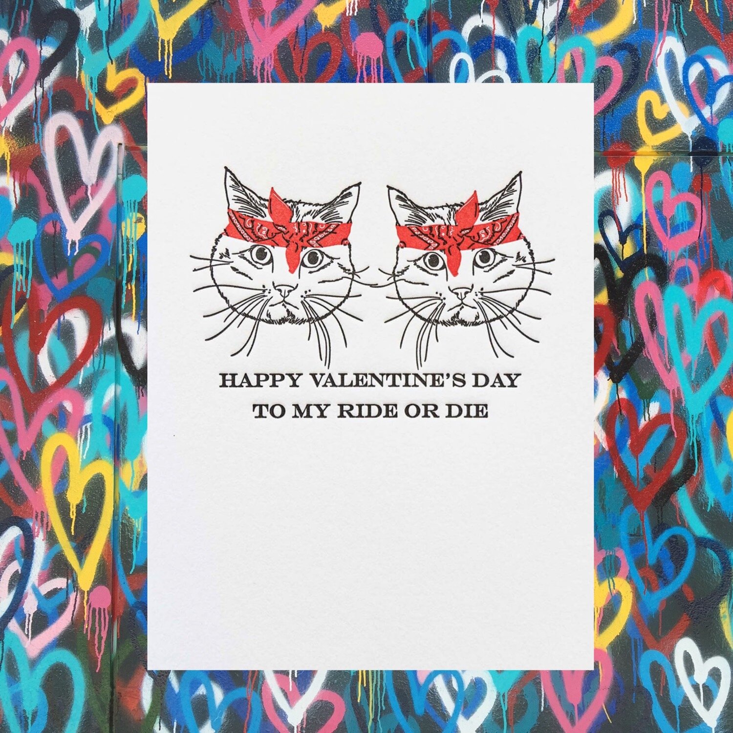 CF870A59-BBED-42D6-ACBF-8F2116FE61D8