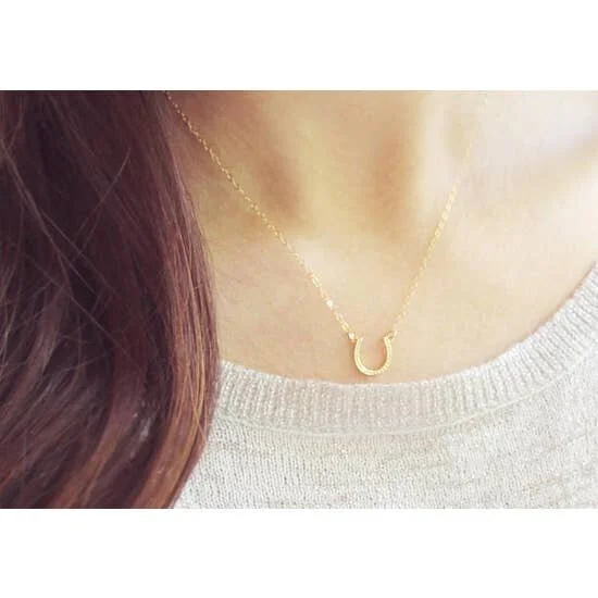 $35.99 LUCKY HORSESHOE NECKLACE