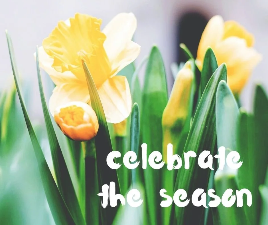 SHOP EASTER + PASSOVER GIFTS.jpg