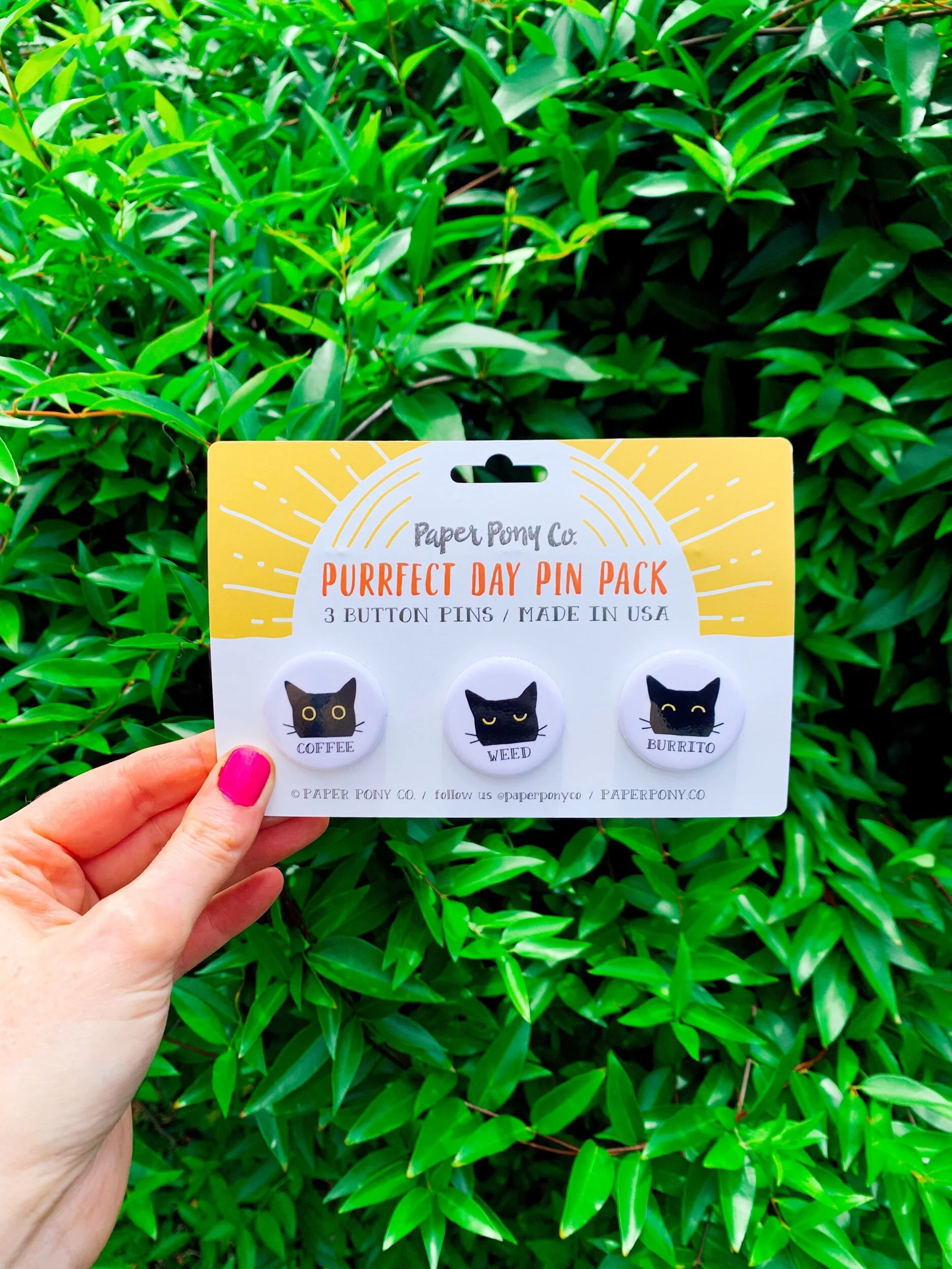 9A2A9587-EC64-4F72-9CE9-A86F3CC16E6B