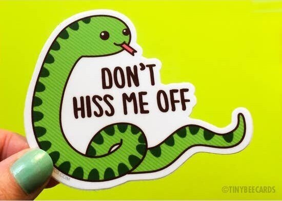 $4.99 DON'T HISS ME OFF SNAKE STICKER