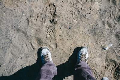 Sandy, rocky soil can be a problem 