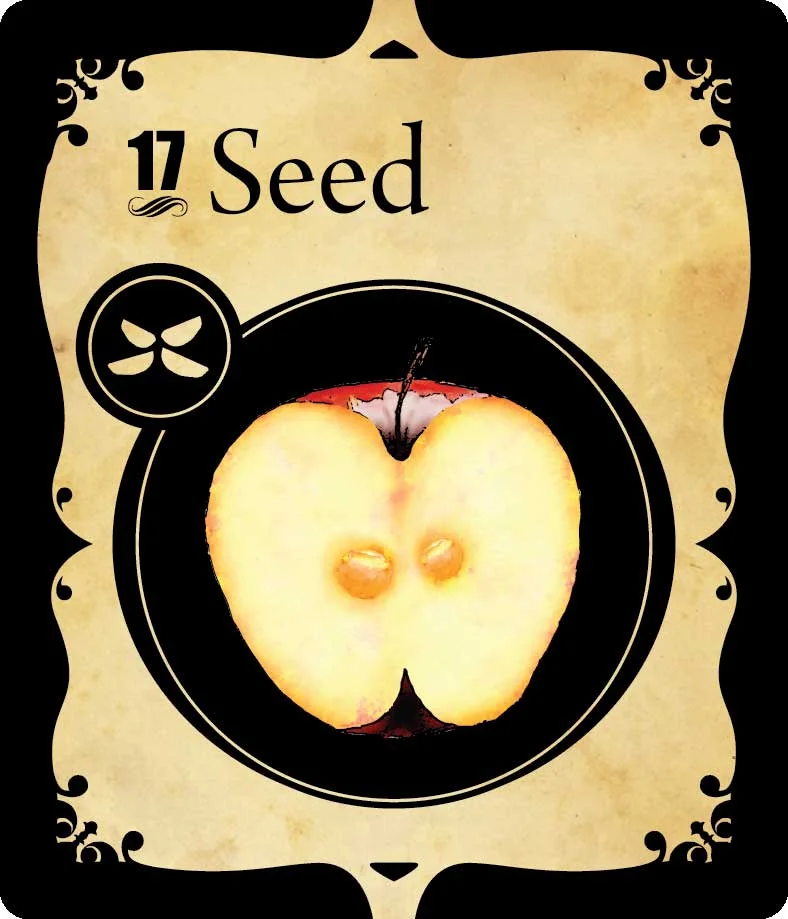 Seed