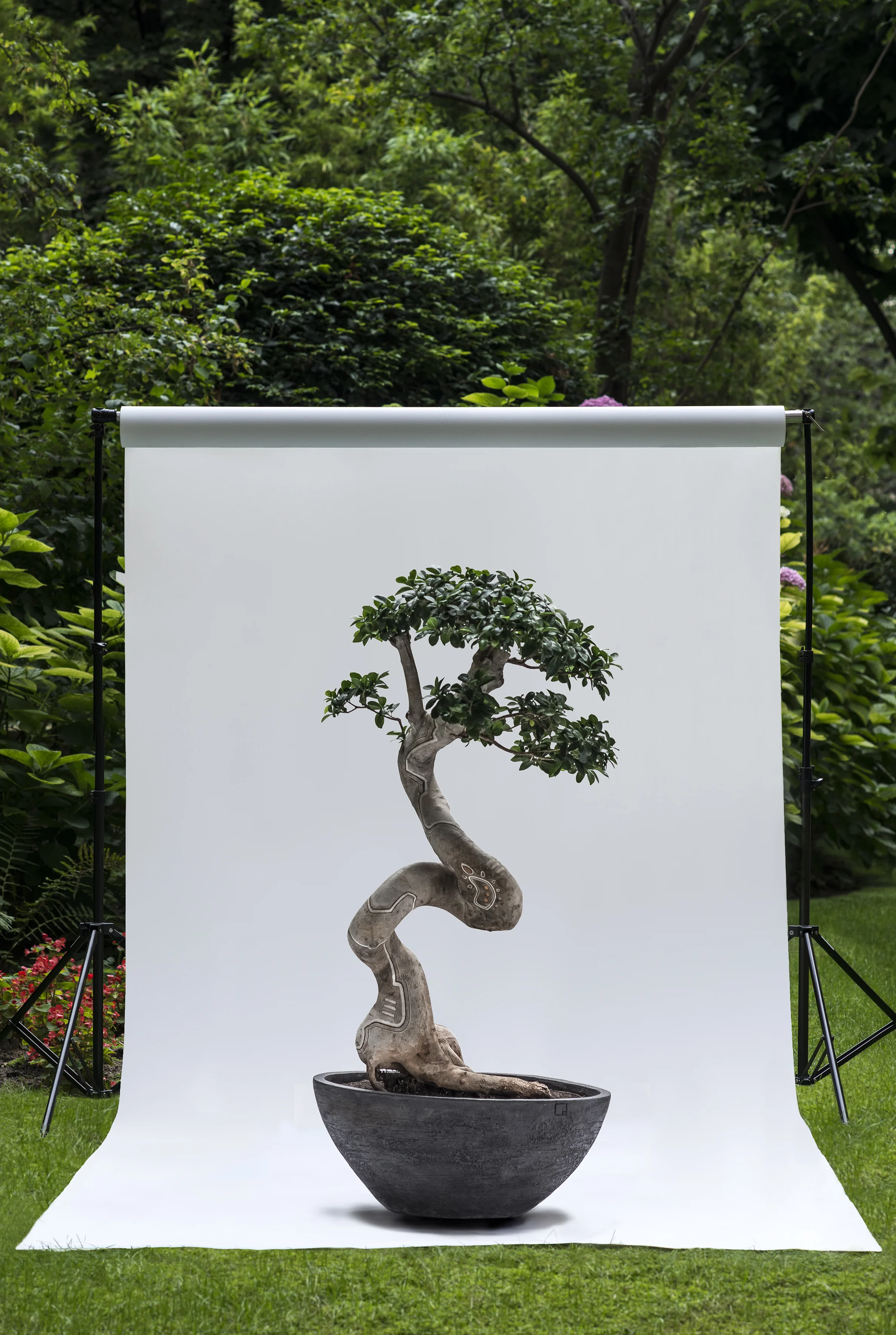 Arbre3-P2-Ext -JPG30.jpg