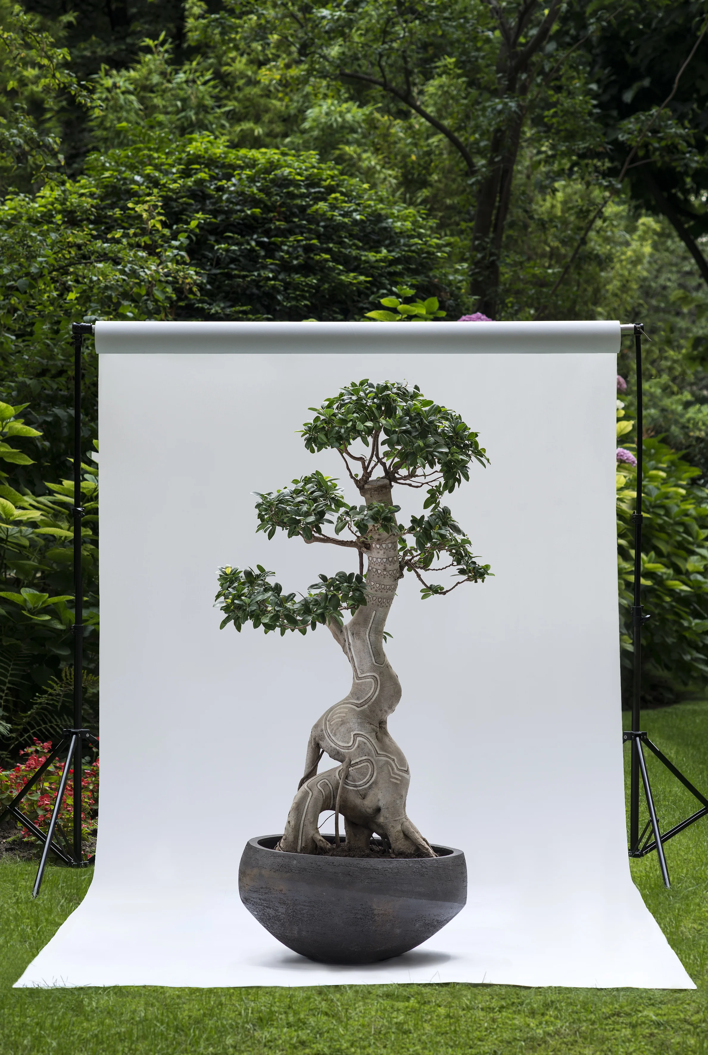Arbre2-P1-Ext -JPG30.jpg