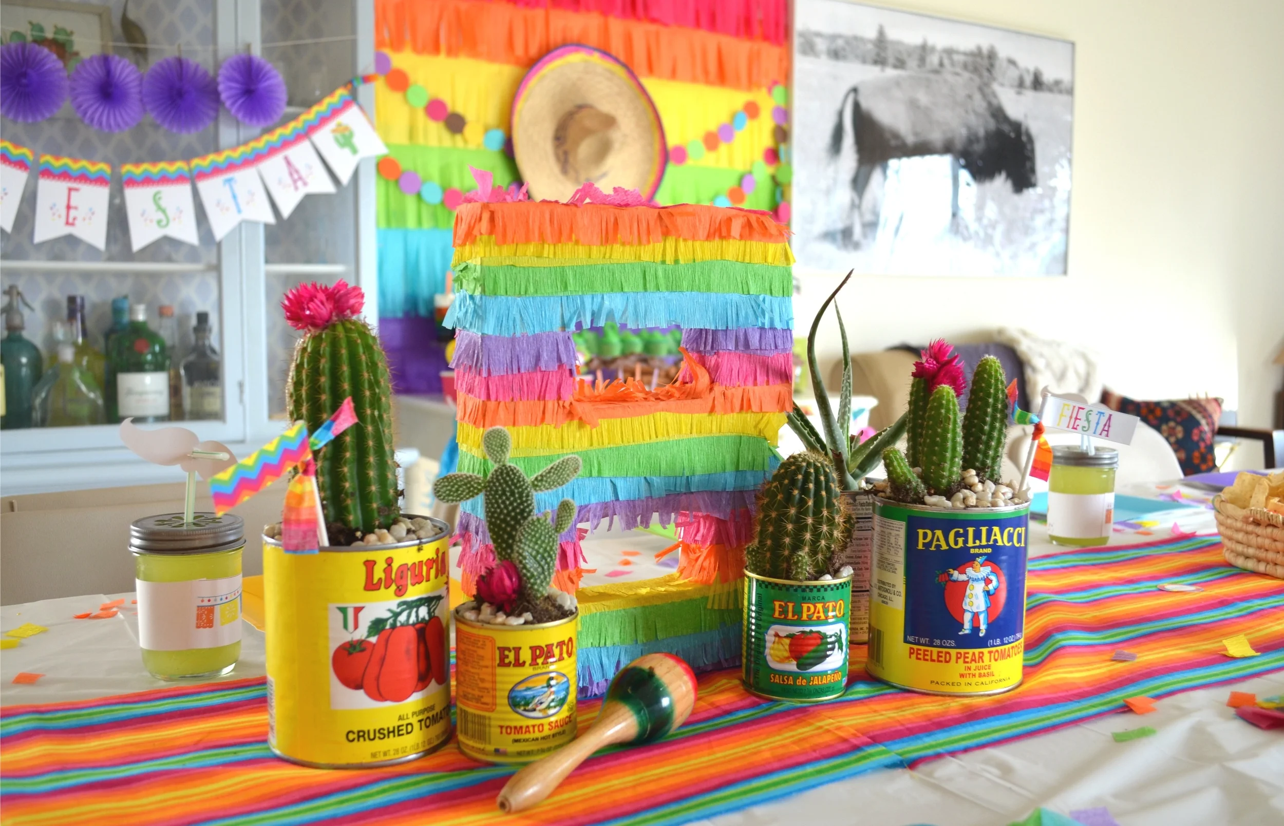 Fiesta // Cinco de Mayo