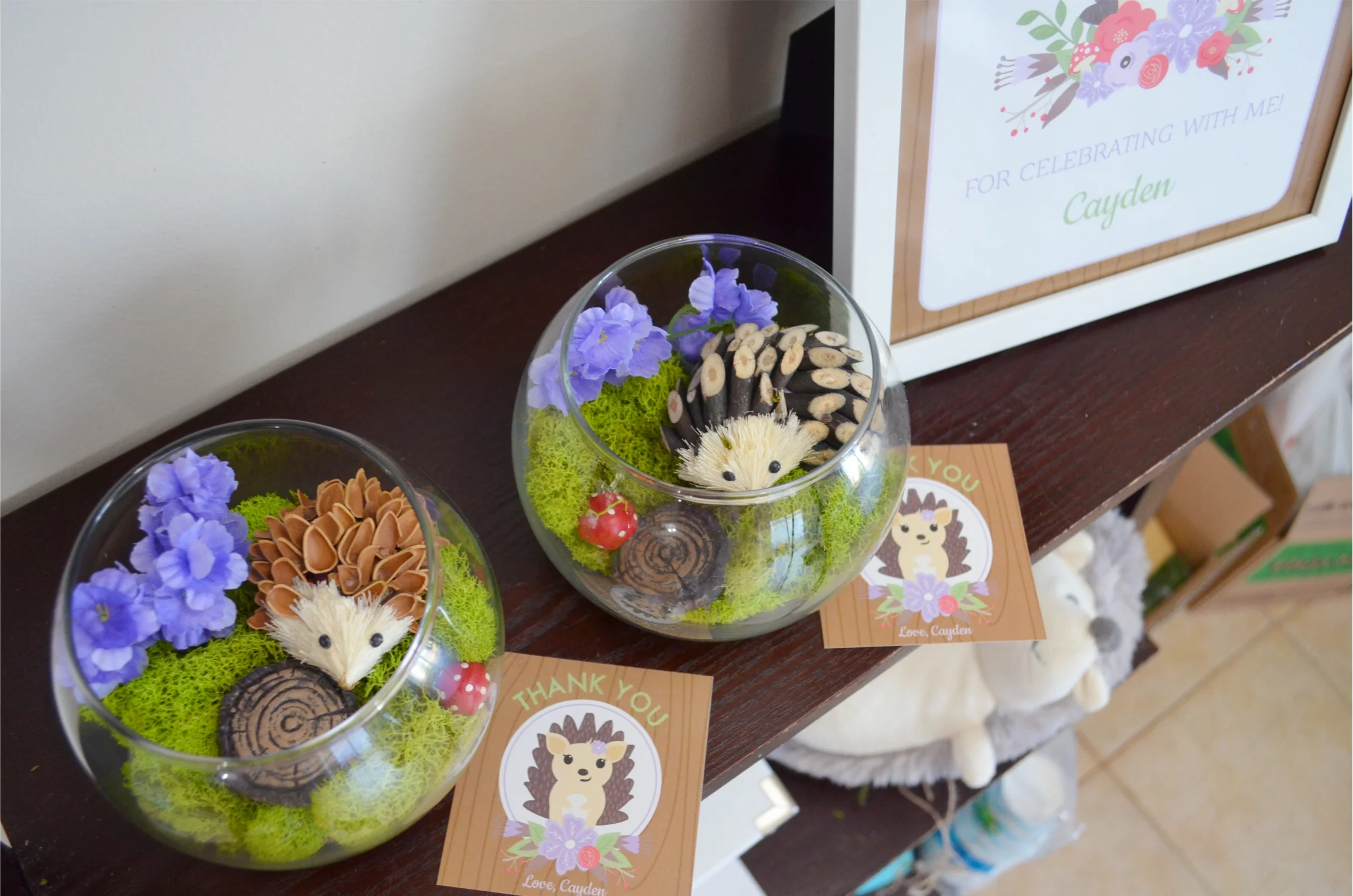 Woodland Hedgehog Party