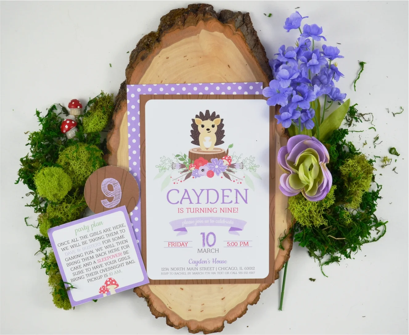 Woodland Hedghog Party1.jpg