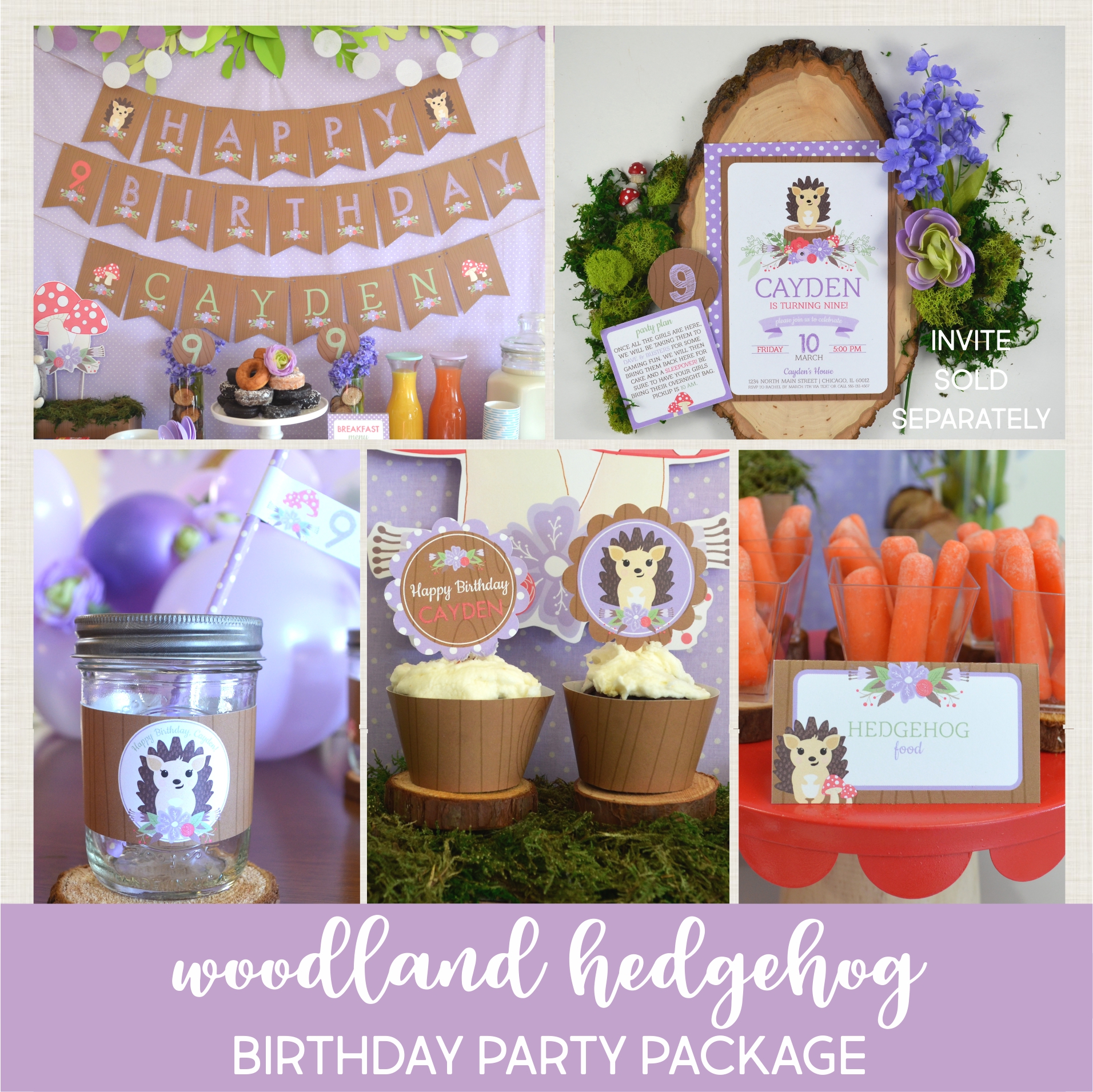 Woodland Hedgehog Party Package
