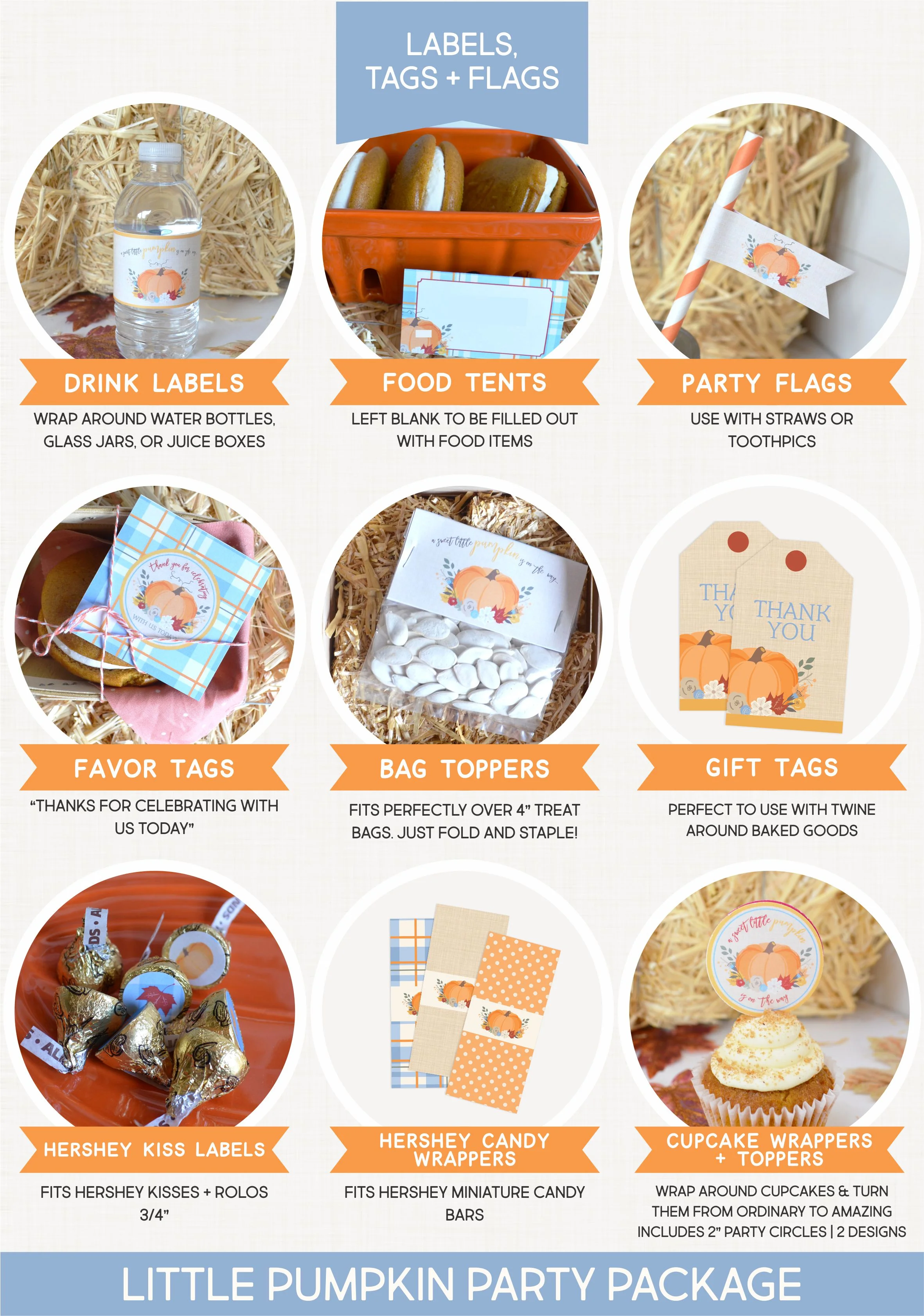 Blue Pumpkin Party Package3.jpg
