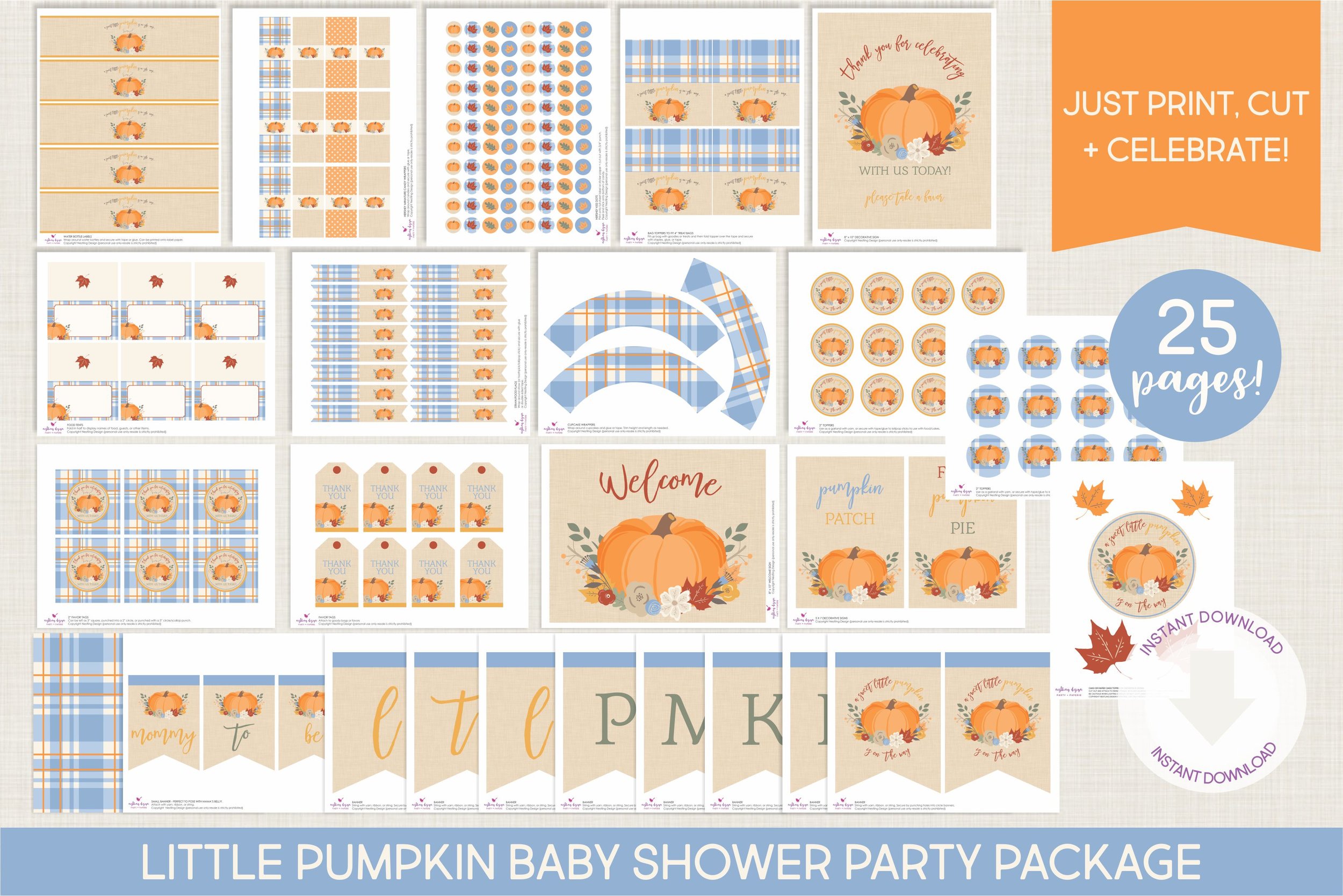 Blue Pumpkin Party Package5.jpg