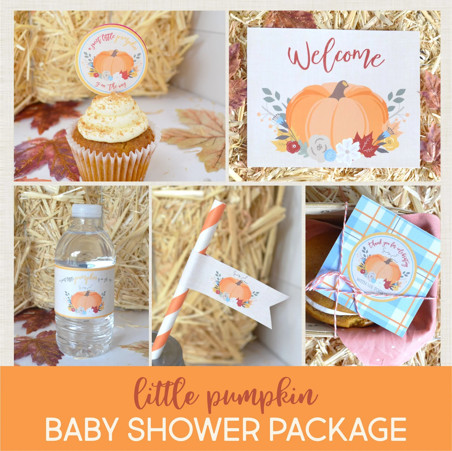 Pumpkin Baby Shower Party Package {Blue}