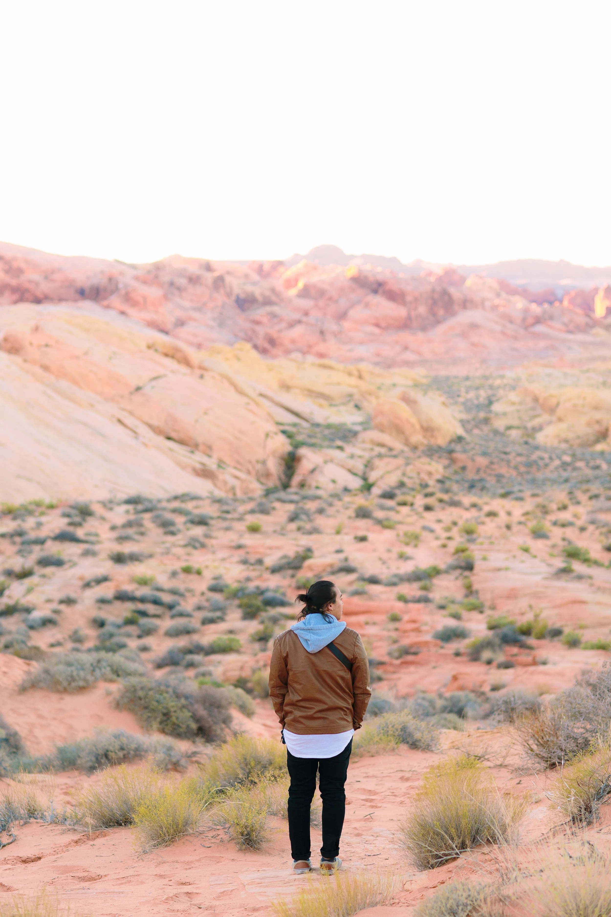 Valley of Fire, NV - Adventure Portrait Session