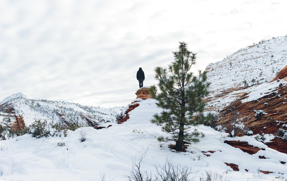 Epic landscape Zion National Park