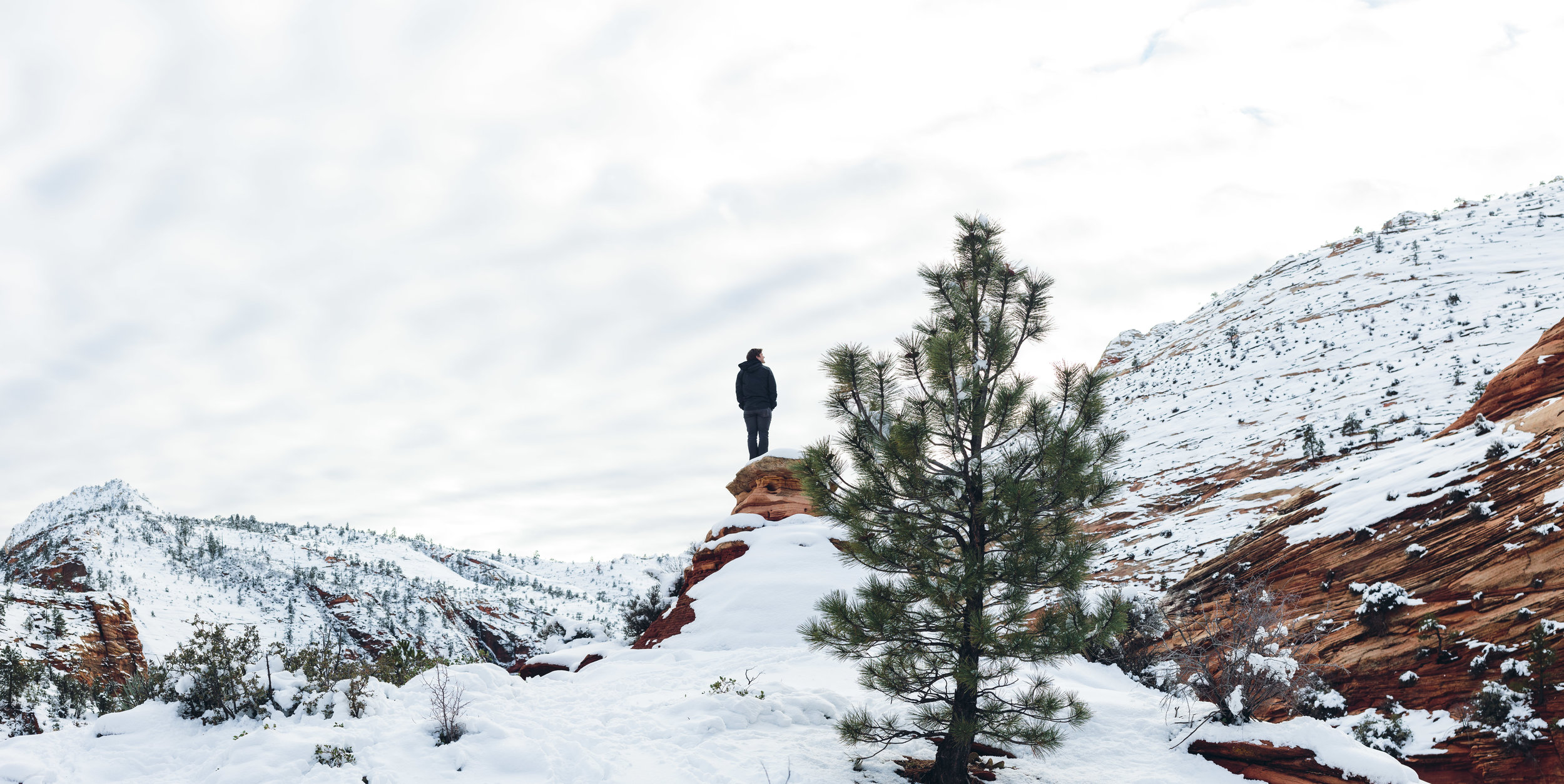 Zion National Park winter portraits