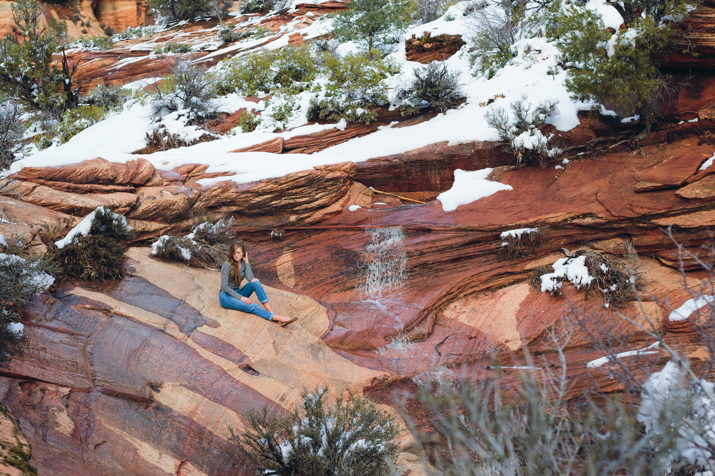 Epic Zion Portraits