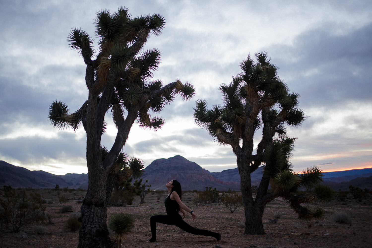 Yoga in the desert Joshua Trees