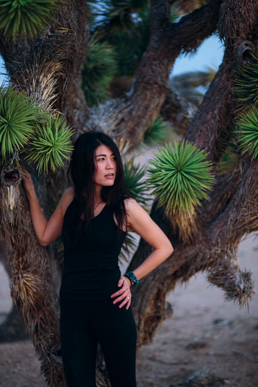 Joshua tree photography