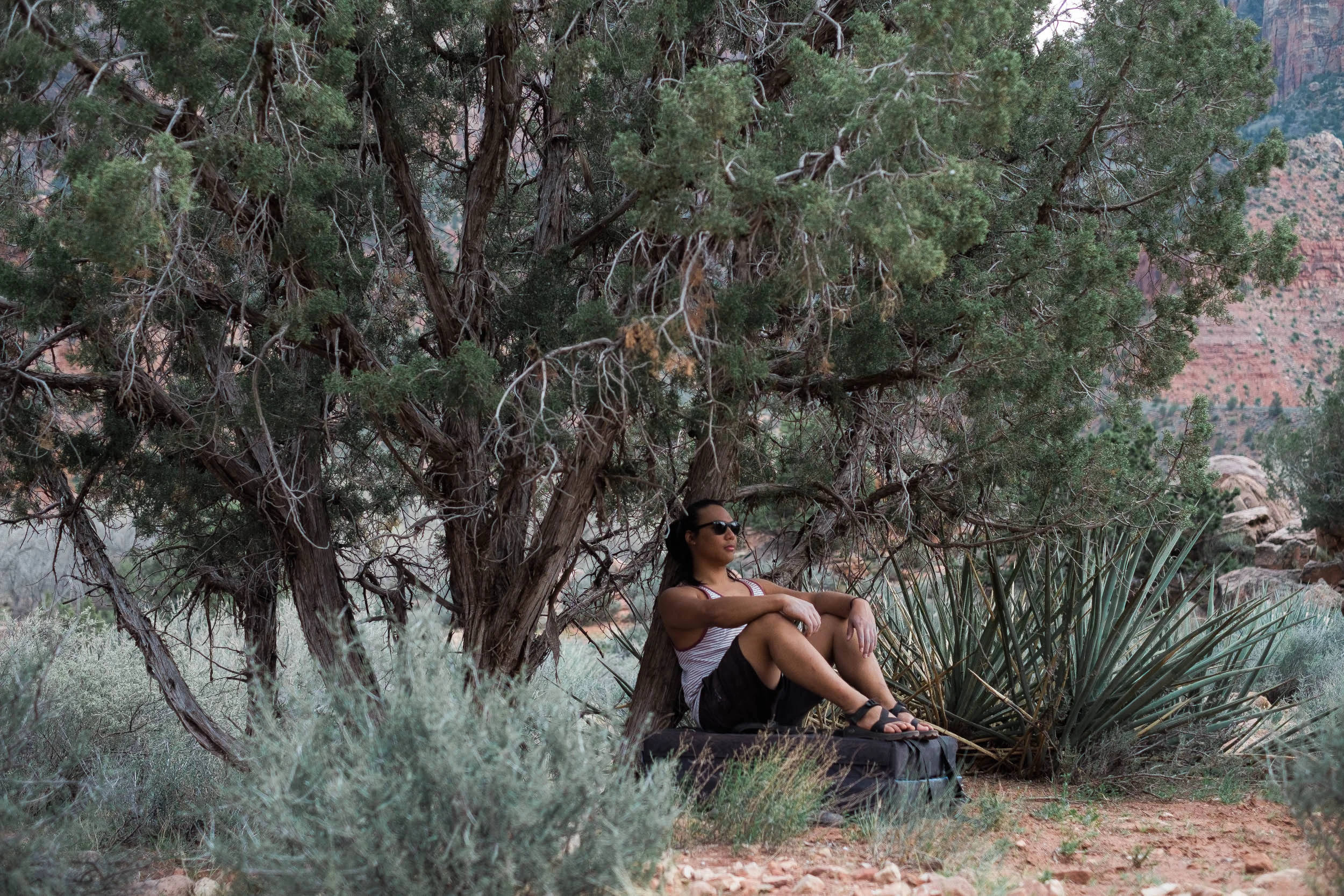 xpro1-160305-037.jpg