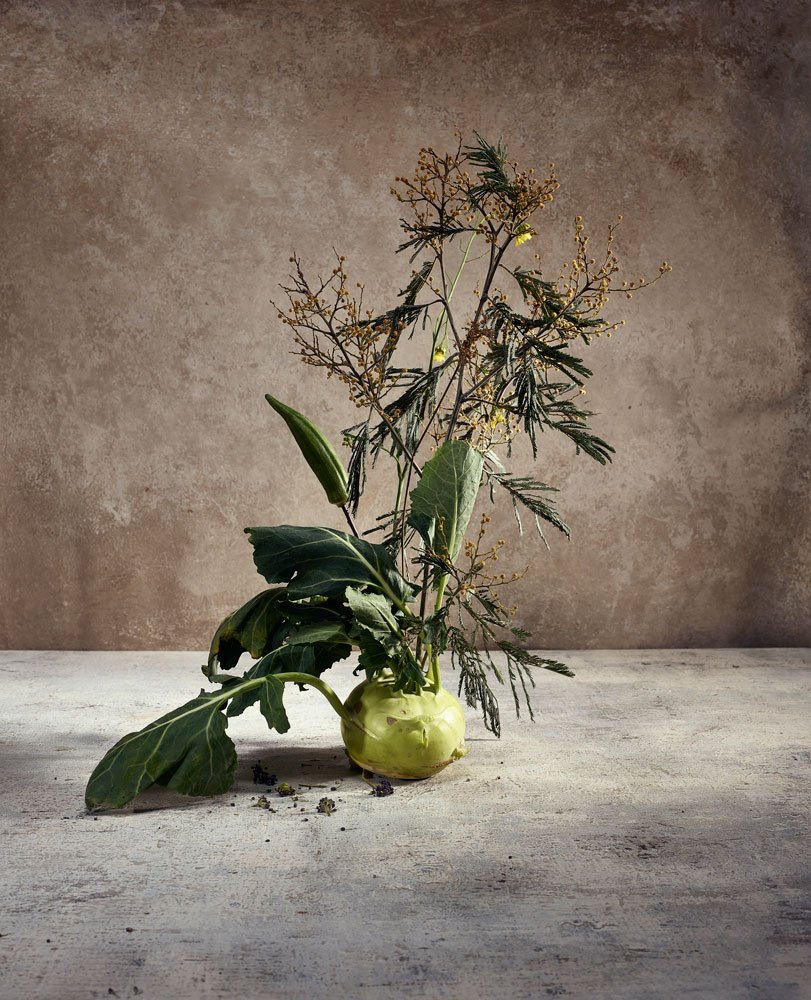 Floral_87806.jpg