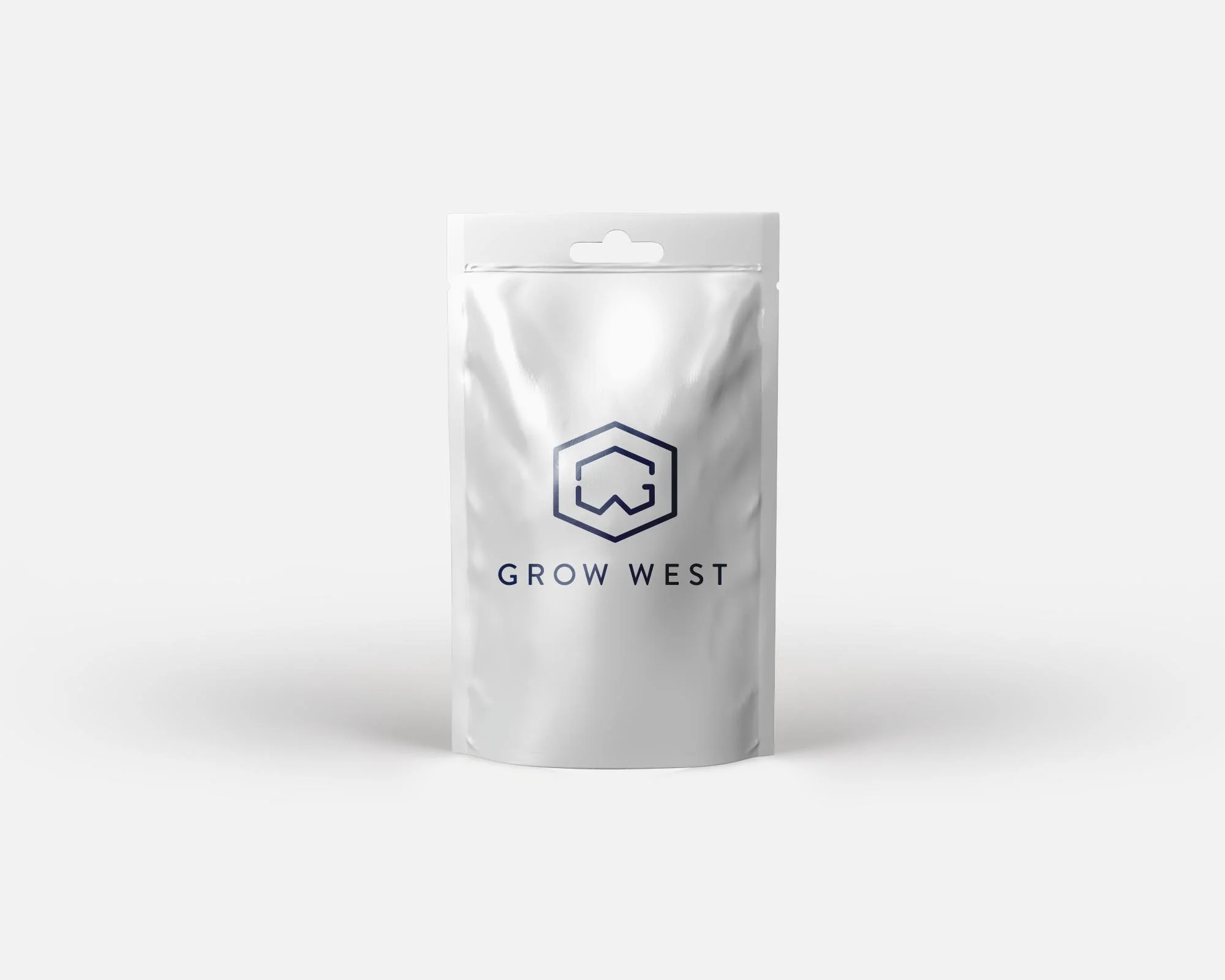 Plastic Pouch Mock-Up.jpg
