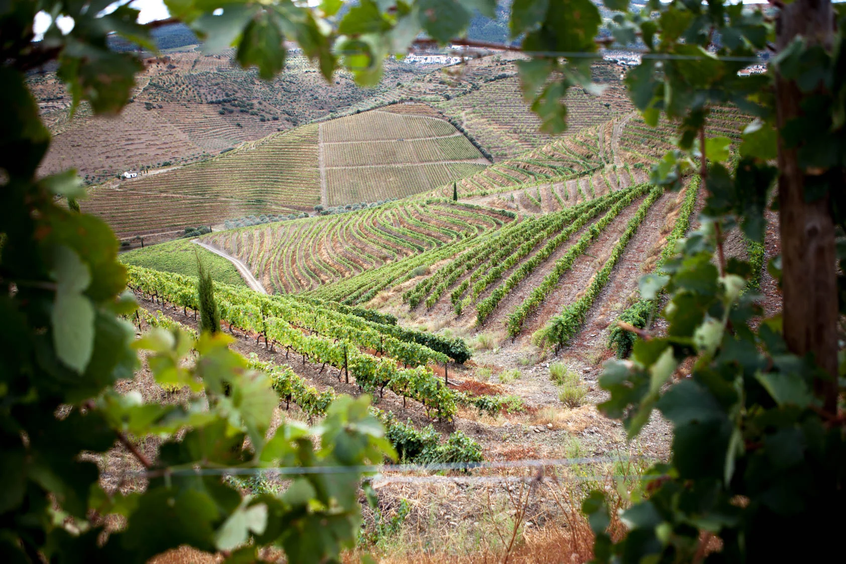 2016-09-14-Douro2-00037.jpg