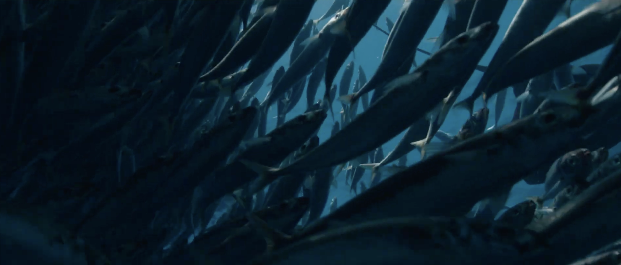 Screenshot 2024-03-02 at 22.09.36.png