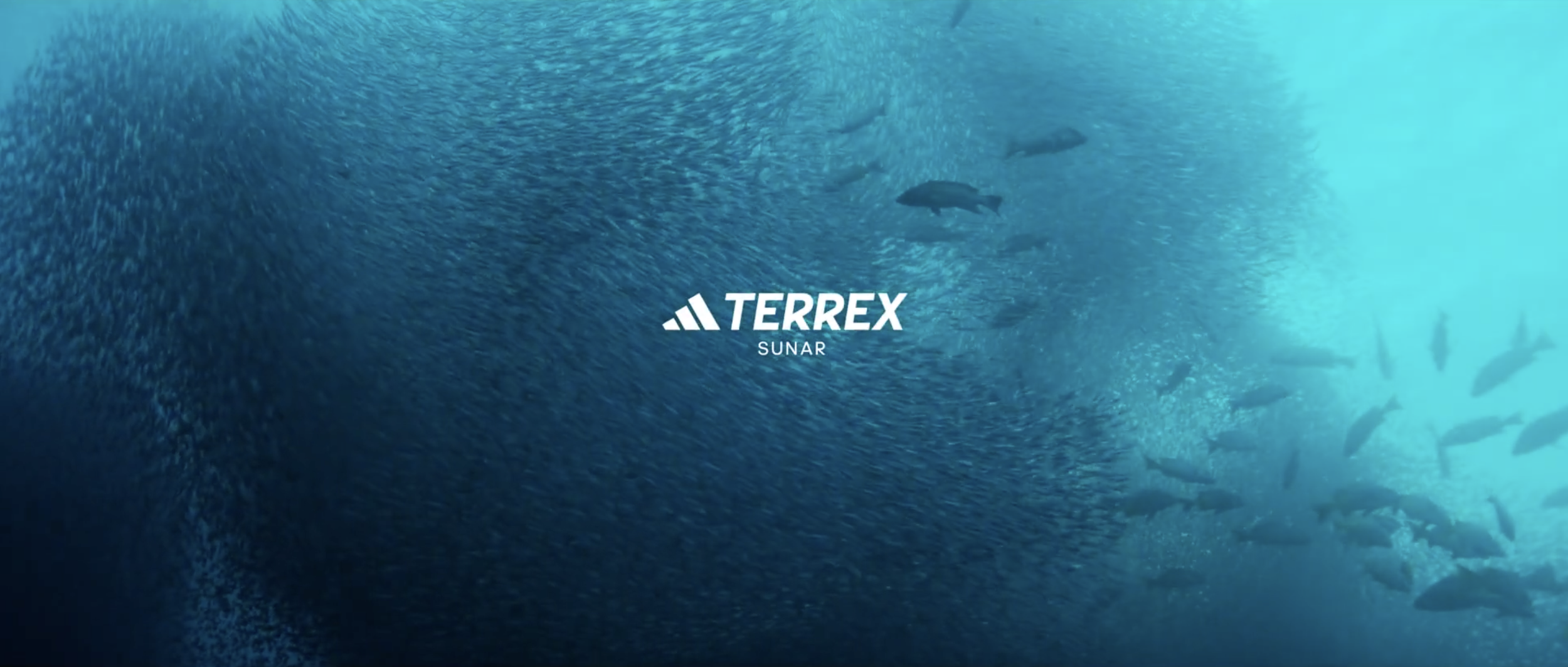 Screenshot 2024-03-02 at 22.09.44.png