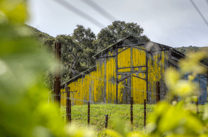 Foxen Canyon Wine Trail