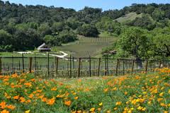 Ballard Canyon Road