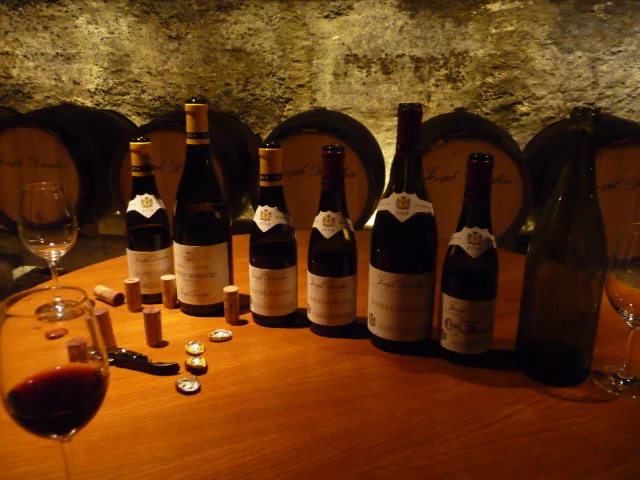 Tasting Clos de Mouches rouge et blanc in the cellars of Joseph Drouhin