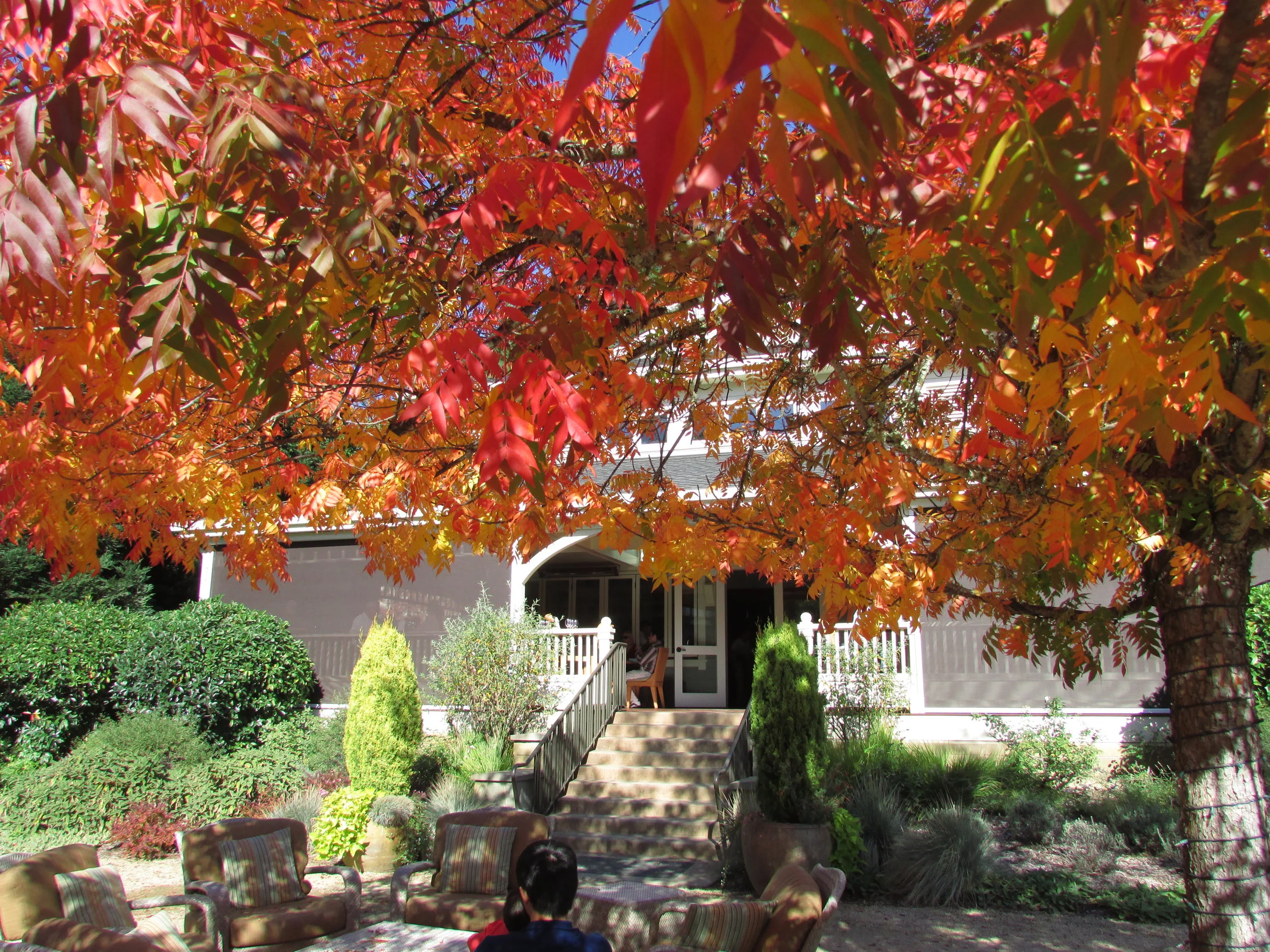 Duckhorn Vineyards, Napa Valley