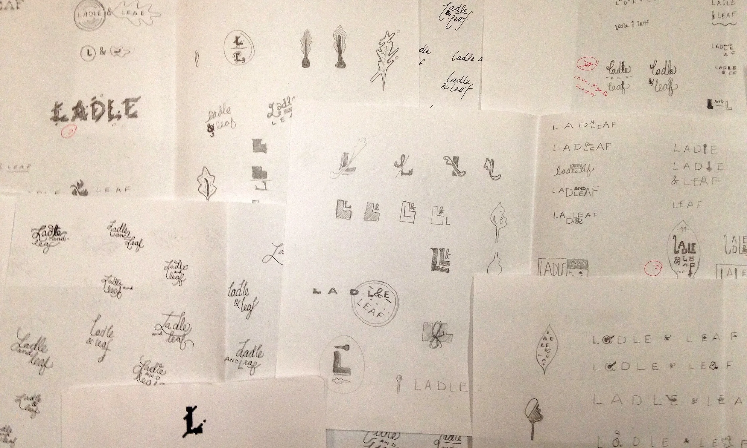 Logo Developement 001