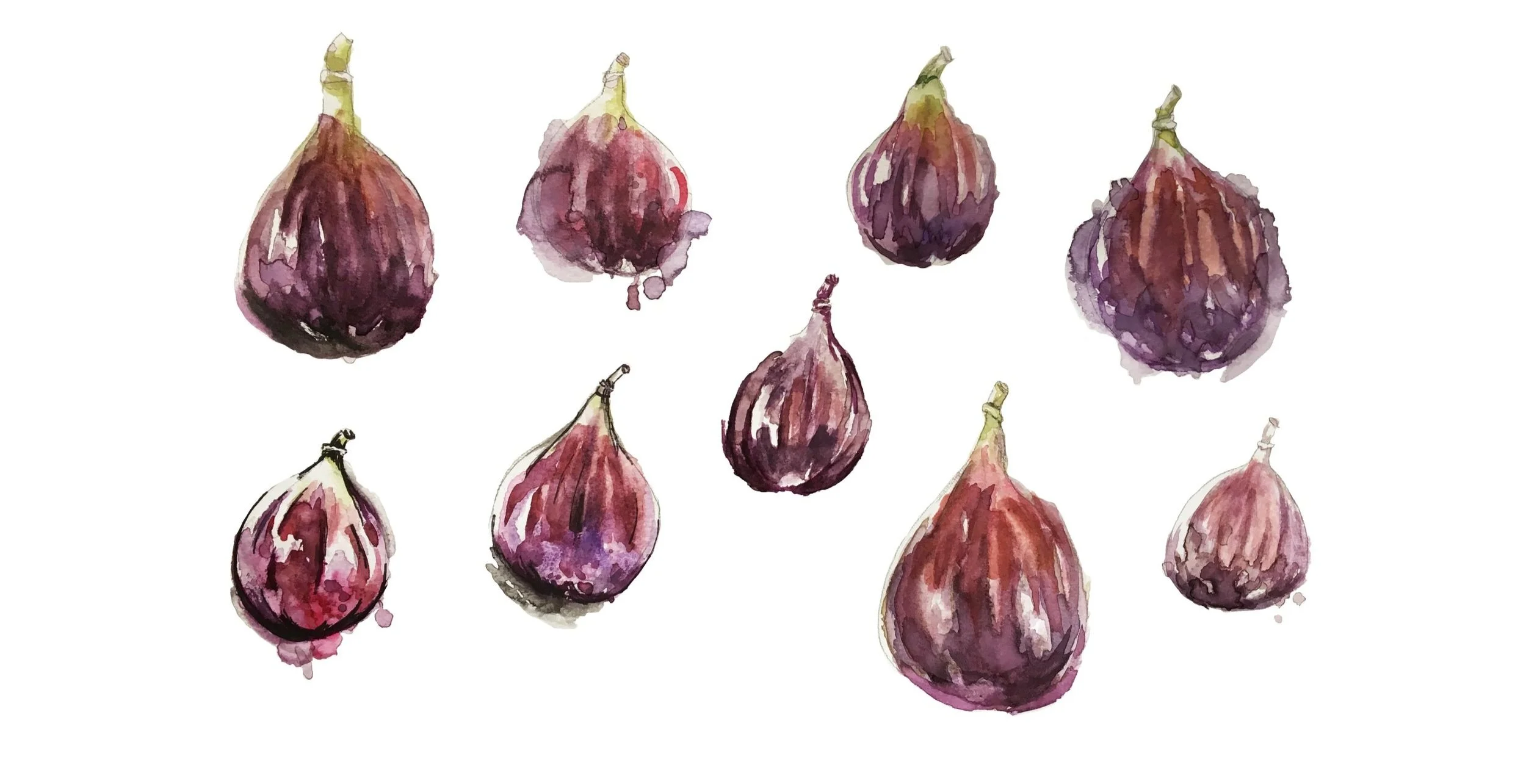 CheFico_Figs.jpg
